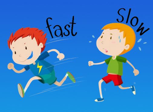 Adjectives - Predicative use Banner Image